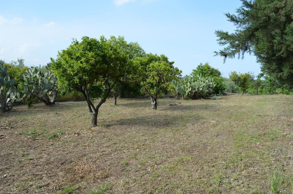 Villa Bonaccorso Viagrande Esterno foto